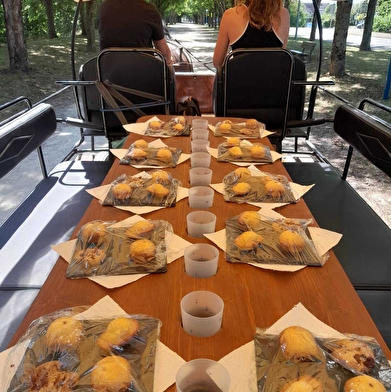 Balade de l'Armançon en calèche