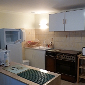 Martin n° 2 - SALINS-LES-BAINS