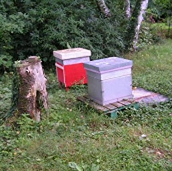 Le Bouteron Morvandiau - MONTREUILLON