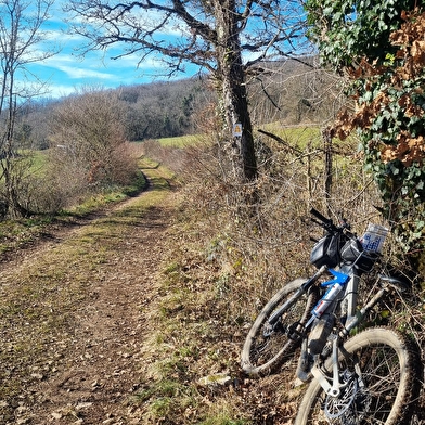Circuit VTT n°22 (bleu) - Forêt de Bohas et du Vieudrin