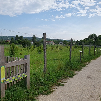 Truffière et parcours pédagogique du Pays Seine-et-Tilles