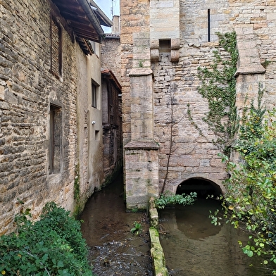 Galerie Oisila Nevoy