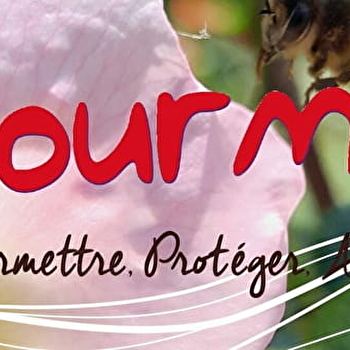 La Fourmilière  - HUANNE-MONTMARTIN