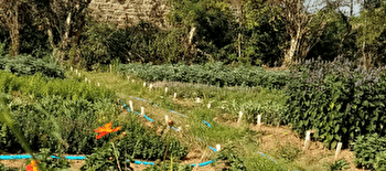 Terra Mornaysia - MORNAY