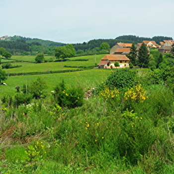 Le petit vroulon - VEROSVRES