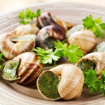 Dégustation chez Hélice - l'escargotier beaunois - BEAUNE