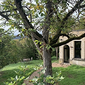 Le Clos des Tilleuls - VEZELAY