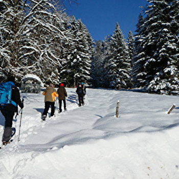 Horizons Jura - MOUTHE