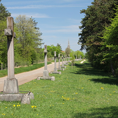 Le Mont Roland - 100B