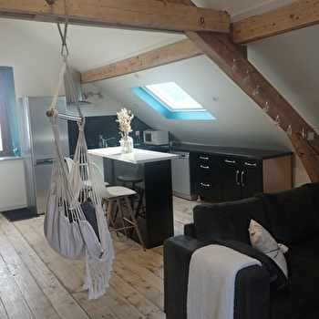 Superbe Loft avec grande terrasse - MAICHE