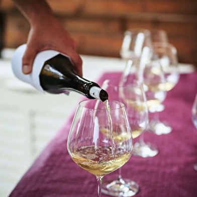 Initiation à la dégustation au Domaine Montbarbon