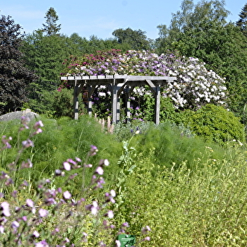 Visite Animée de l ’Herbularium
 - SAINT-BRISSON