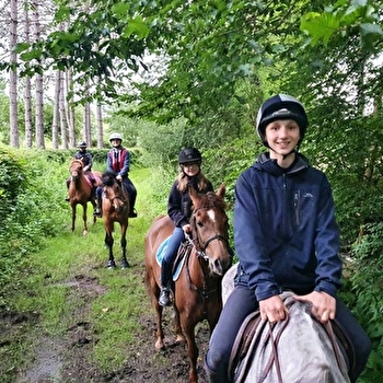 Ferme Equestre Gateau Stables : séjour linguistique-équitation et balades et leçons à poney et cheval - SAINT AMAND EN PUISAYE