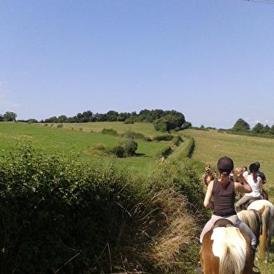 Promenades à cheval ou à poney, séjours ados
