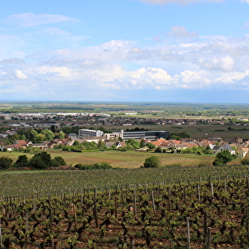 Aire de pique-nique de Brochon 1 - BROCHON