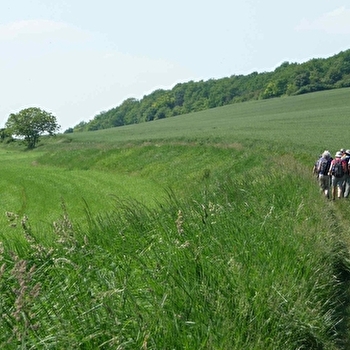 Sur les pas des maquis Bourgogne - DIXMONT