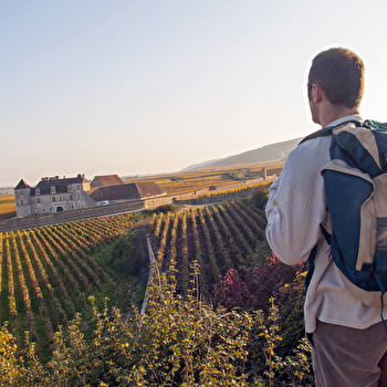 Séjour Vin et Gastronomie - Groupe - 