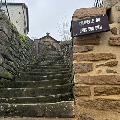 Balade Verte - Le Chêne à La Dame (CH 1)