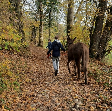 La flânerie d'Audrey