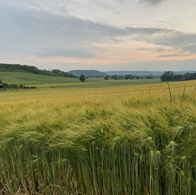 Le Moulin des tachyons