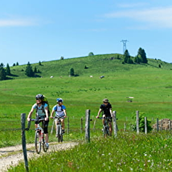 Location de VTC à assistance électrique - LES FOURGS