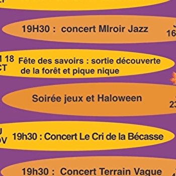 SAXI ZINC - SAXI-BOURDON