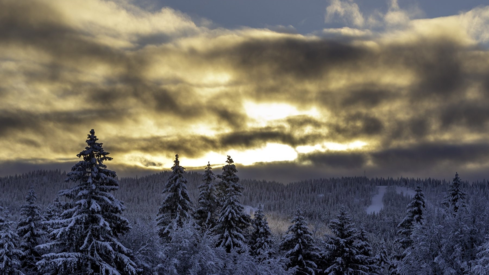 Nouvel An - Fiesta dans le Jura
