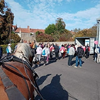 Les calèches de la Bohême - POUILLY-EN-AUXOIS