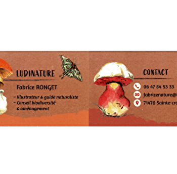 Ludinature - SAINTE-CROIX