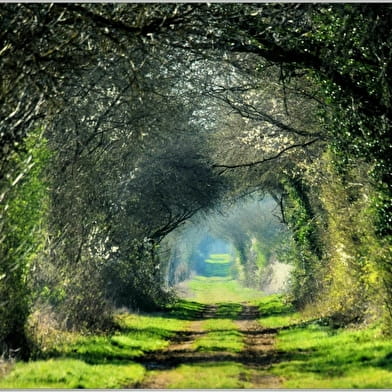 À cheval sur le Roichat et la Montagne des Alouettes