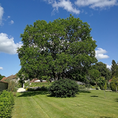 Rendez-vous aux jardins de la Grande forge de Buffon