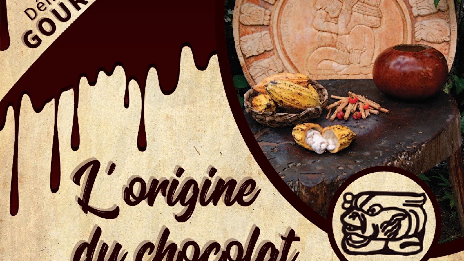Démonstration gourmande interactive : l'origine du chocolat