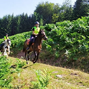 Boucle équestre de Saint-Hilaire - TERNUAY-MELAY-ET-SAINT-HILAIRE