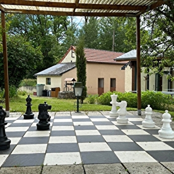 Les Tournesols - LIERNAIS