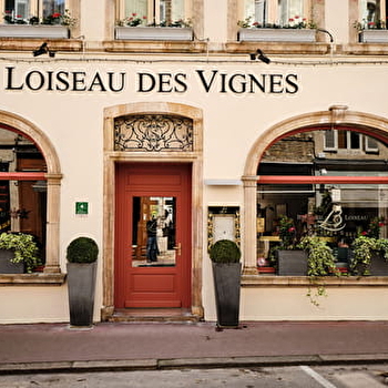 Loiseau des Vignes - BEAUNE
