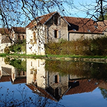 LA BRETONNIERE - 12 personnes - BUSSY-LE-GRAND