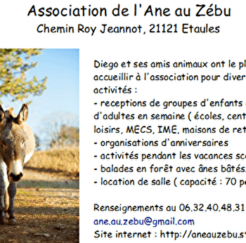 Association de l'Ane au Zébu - ETAULES
