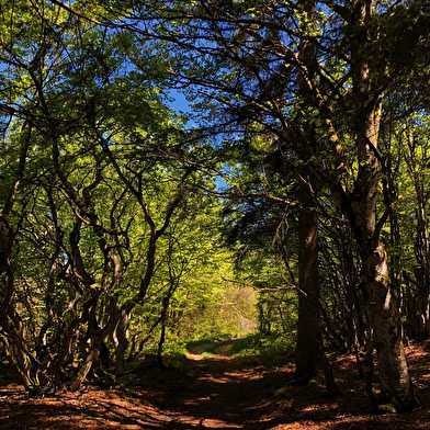 Grandes Traversées du Jura (GTJ) : Itinéraire VTT de Mandeure à Culoz via le Grand Colombier