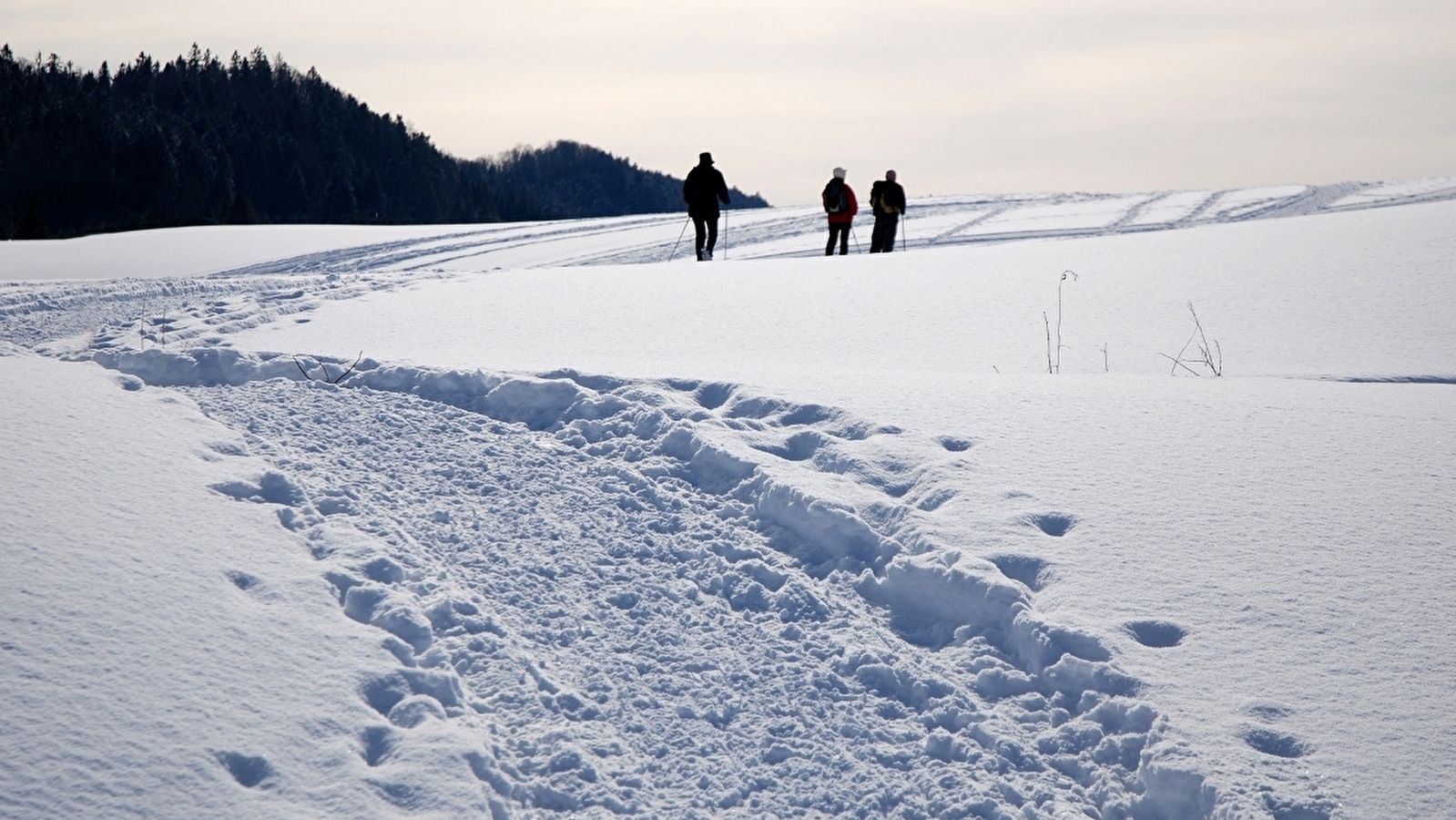Site Nordique de Nanchez - Prénovel, Chaux des Prés, Les Piards