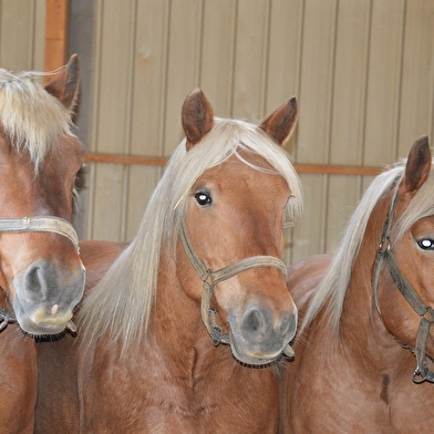 La Ferme des Comtois
