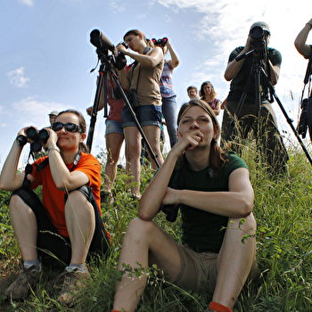 À la découverte des libellules du lac de Grosbois - GROSBOIS-EN-MONTAGNE