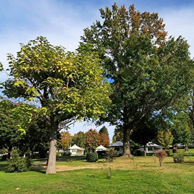 Aire de service au camping Les Bruyères