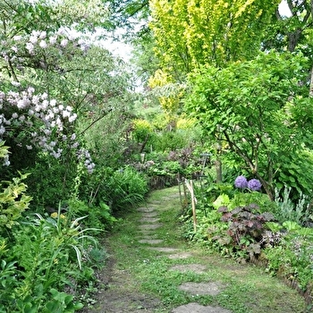 Jardin de méli-mélo - BLUSSANGEAUX