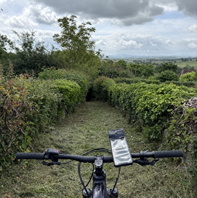 Entre bois et étangs - Circuit VTT n°2