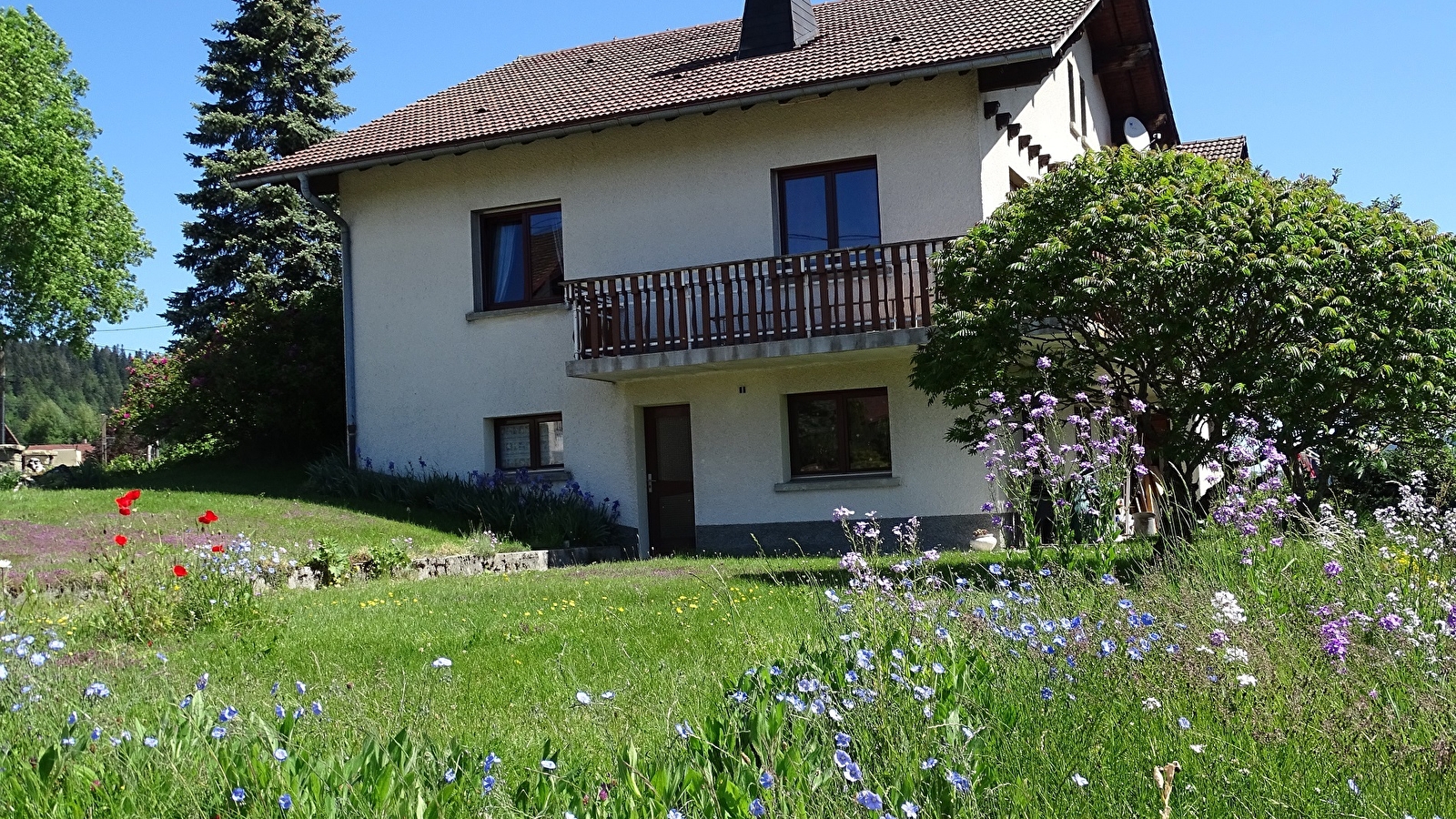 Appartement - Monique Péquignot