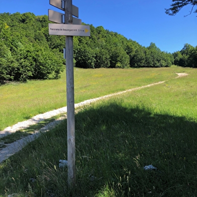 Circuit de randonnée de la Ronde des Plans
