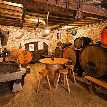 Domaine Daniel Dugois - LES ARSURES