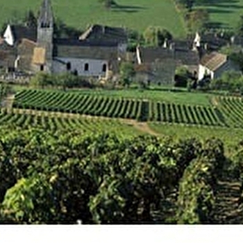 La Route Touristique des Grands Vins de Bourgogne - SANTENAY