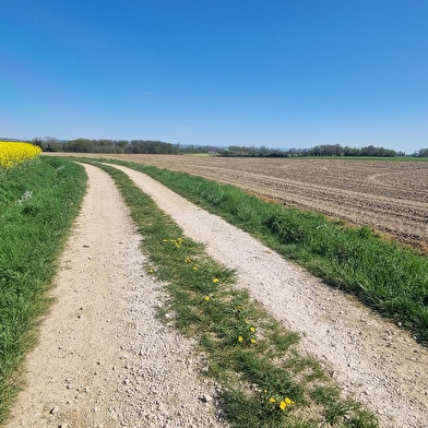Circuit Gravel n°11 (bleu) - Prairie de Jayat - Chartreuse de Montmerle