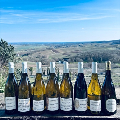 Domaine Joseph Mellot